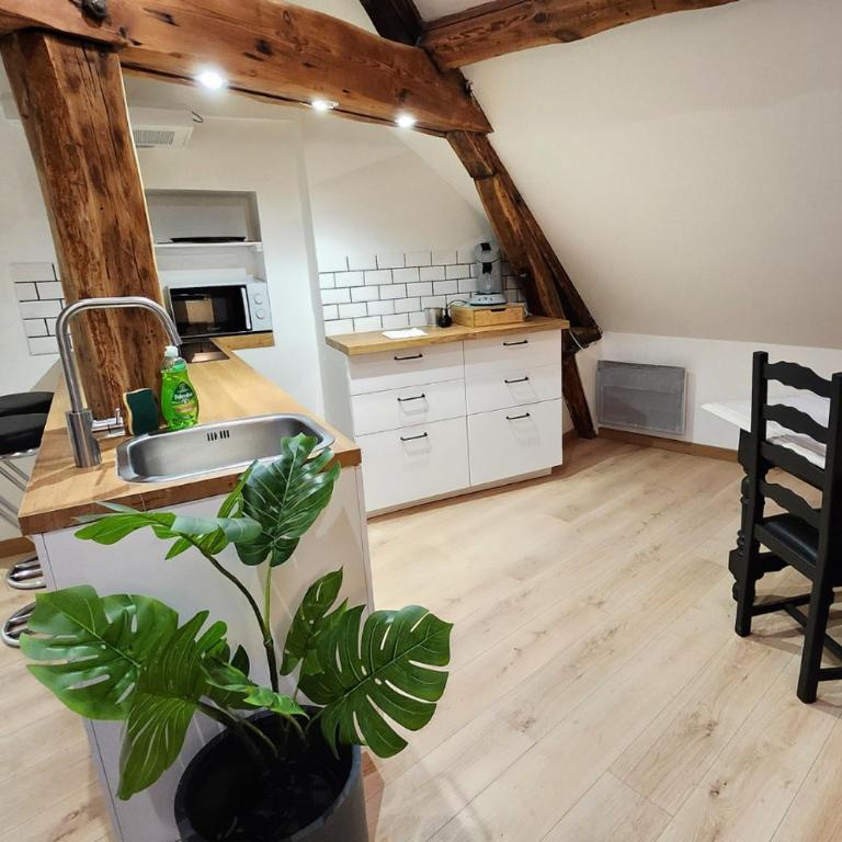 Le 6ème ciel de Gutenberg - climatisé - Apartamento de 1 dormitorio - 16
