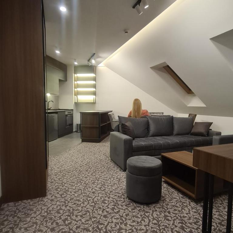 Sunny Mountain Apartment - Zlatibor, Serbia - SPA & WELLNESS CENTER - Apartman sa 2 Spavaće Sobe - 20