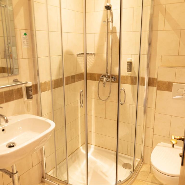 Pension Dachsteinhof - Standard Doppelzimmer - 1
