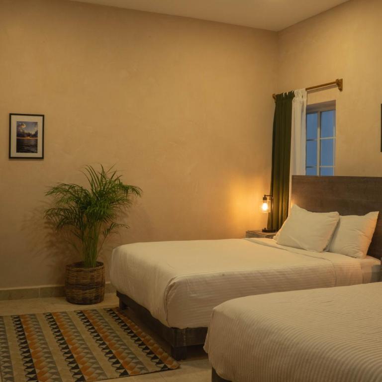 Gardenia Collective - Habitación Doble - 2 camas dobles - 3