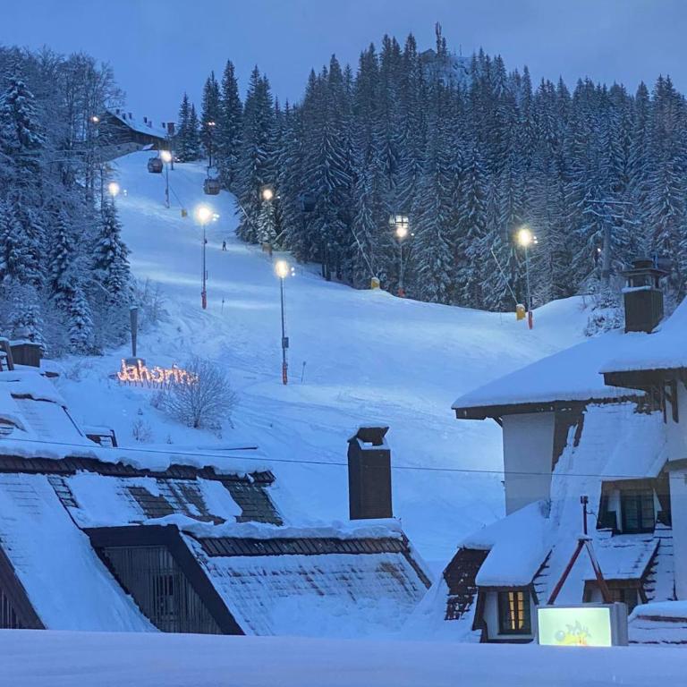 Apartment 122 - Aparthotel Vučko Jahorina - private host - Apartman sa 1 Spavaćom Sobom - 24
