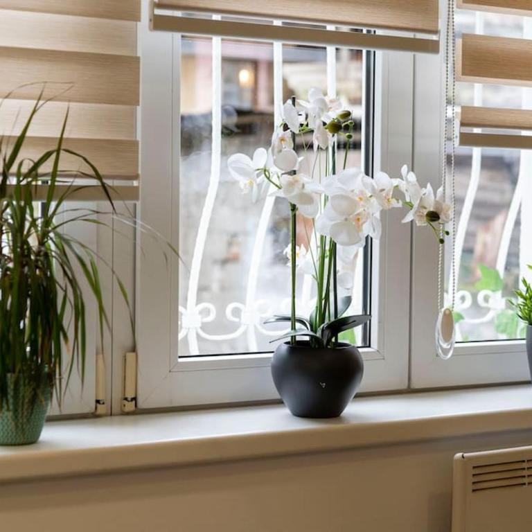 Train 23 - Apartman sa 1 Spavaćom Sobom - 12