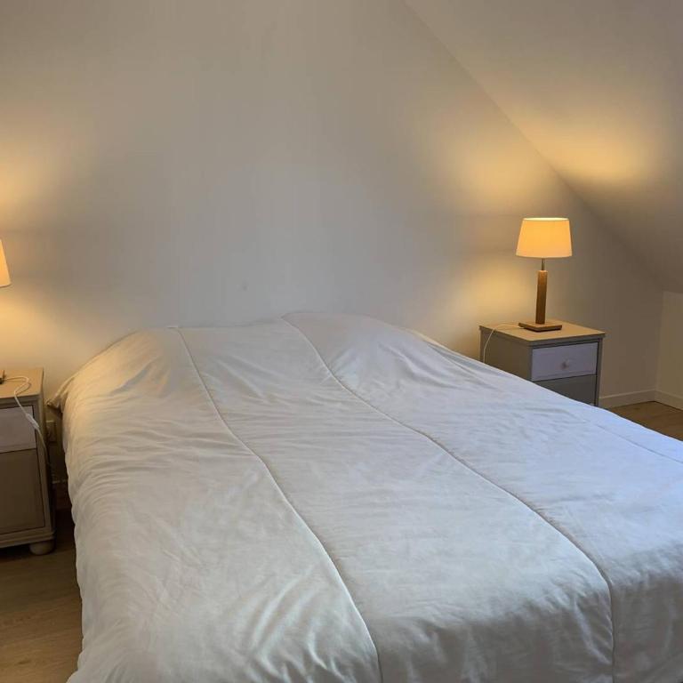 Maison neuve avec jardin et WIFI à Perros-Guirec - FR-1-368-404 - Ferienhaus - 9