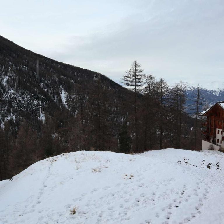Appartement skis aux pieds avec piscine, 4/5 personnes, Les Orres 1800 - FR-1-322-539 - Apartment - 8