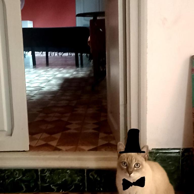 Casa Artistica Alojamiento entero. - Villa - 41