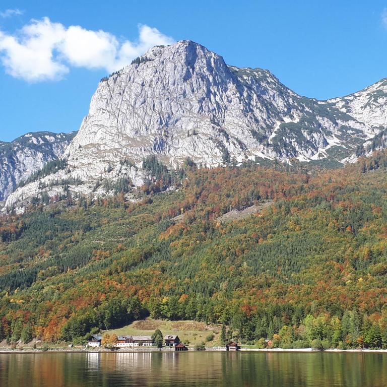 Ladner am See - Appartement 1 Chambre - 3