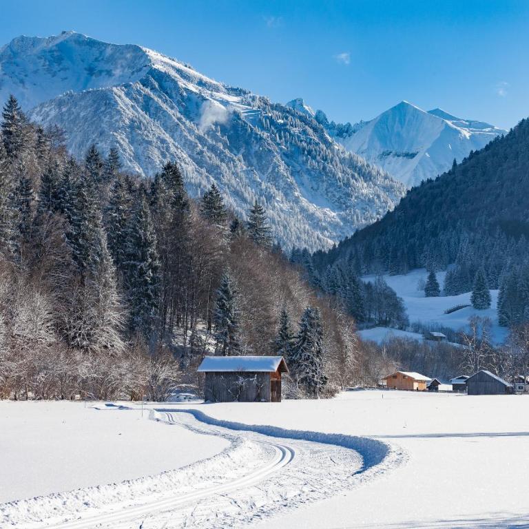 Haus am Teich - Fewo Relax mit Bergbahn Unlimited - Apartment mit 1 Schlafzimmer - 14