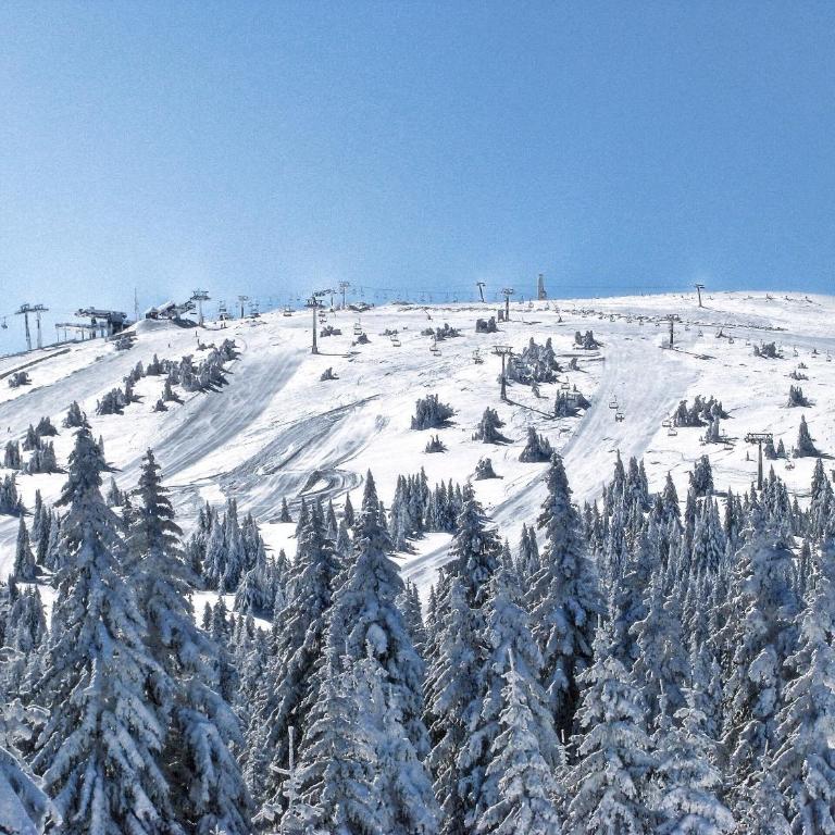 Apartman Lorena N70a - Apartment with Mountain View - 16
