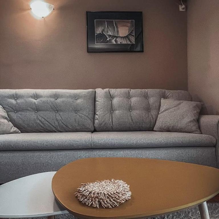 Apartment Podgorica Center - Apartman sa 1 Spavaćom Sobom - 8