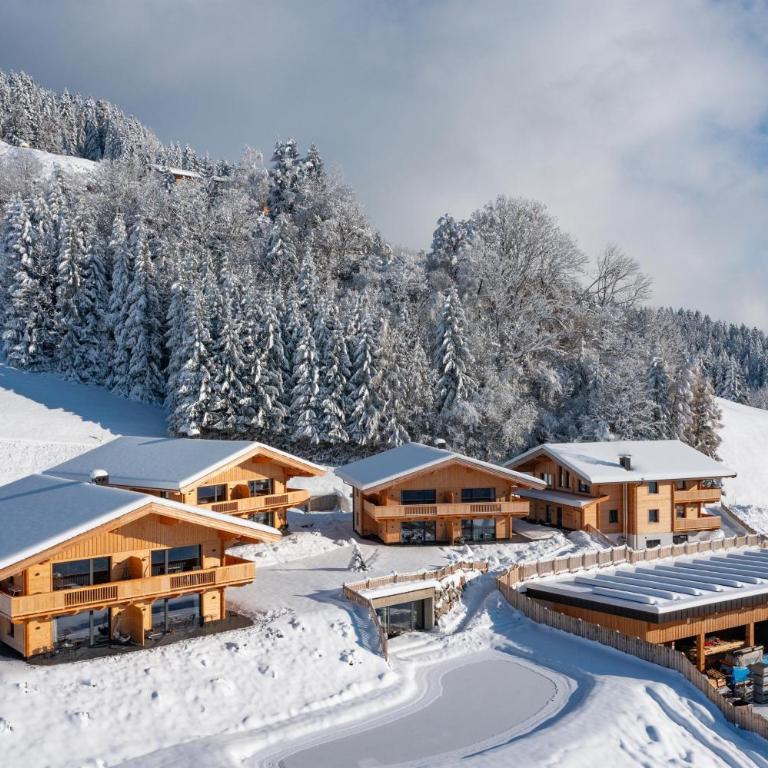 Alpenchalets Oberlaiming - Apartamento de 2 dormitorios - 2