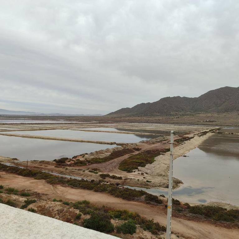 Apartamento El Humedal Cabo de Gata - Apartamento de 2 dormitorios - 33