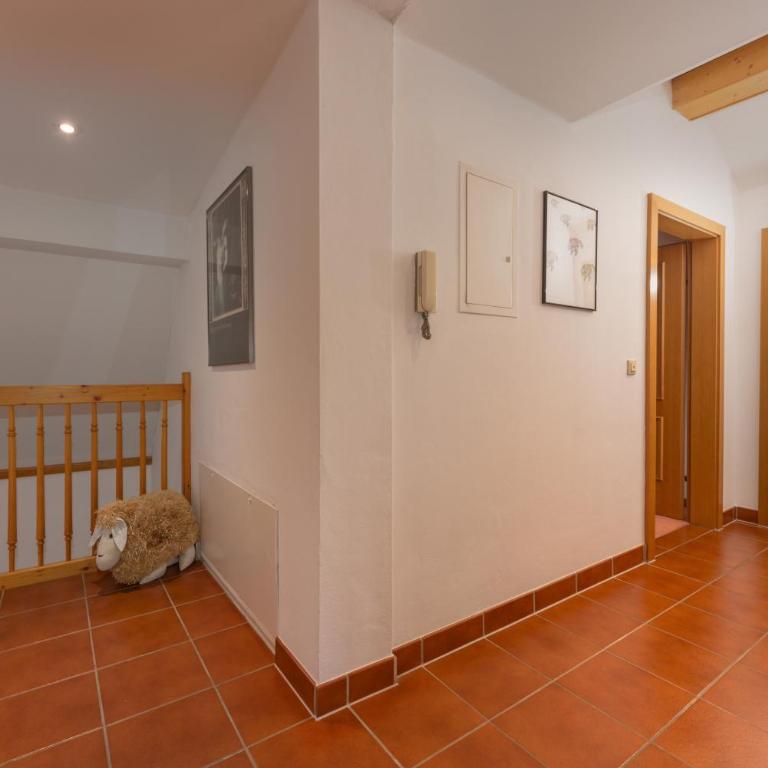 Appartement Berggasse by Schladming-Appartements - Apartment - 15