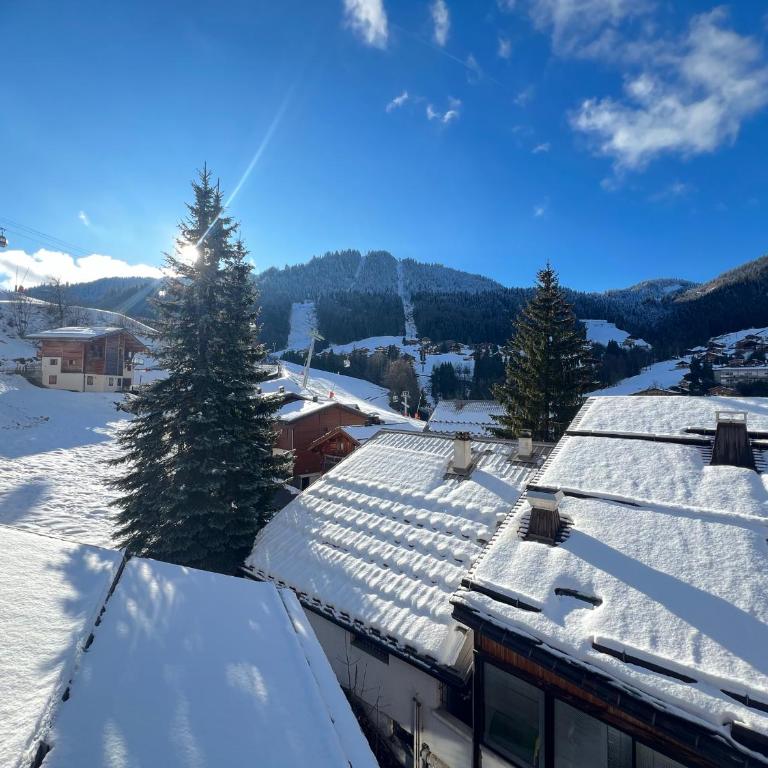 OURS POLAIRE bel appartement village et pistes - Apartamento Deluxe - 21