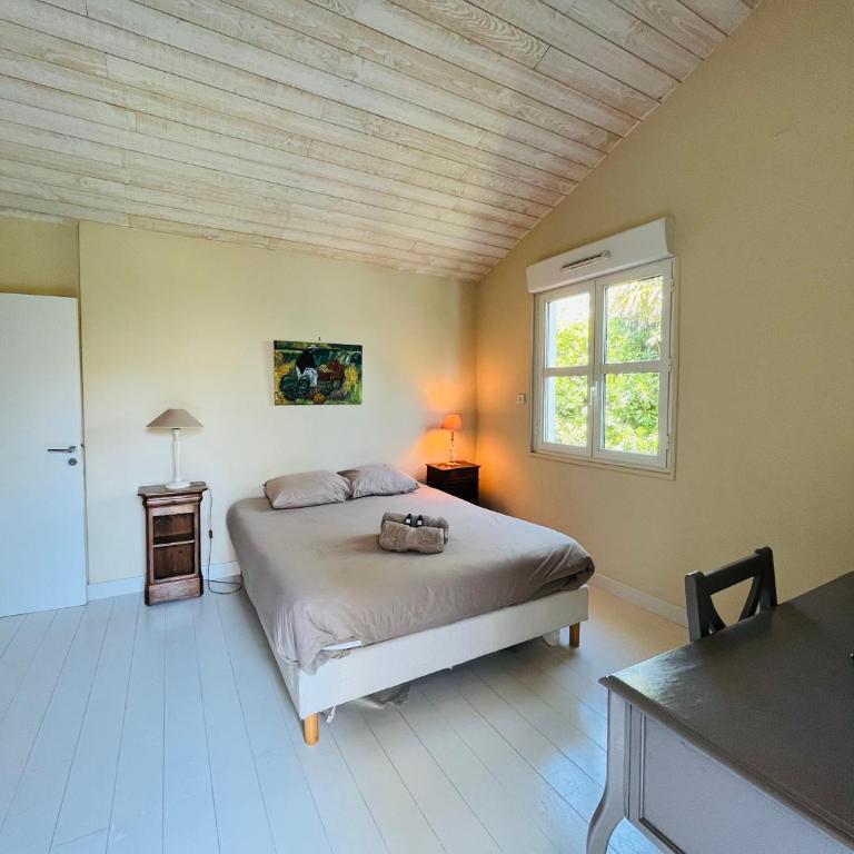 Biarritz, Castellamare, Magnifique maison avec piscine - Villa - 22