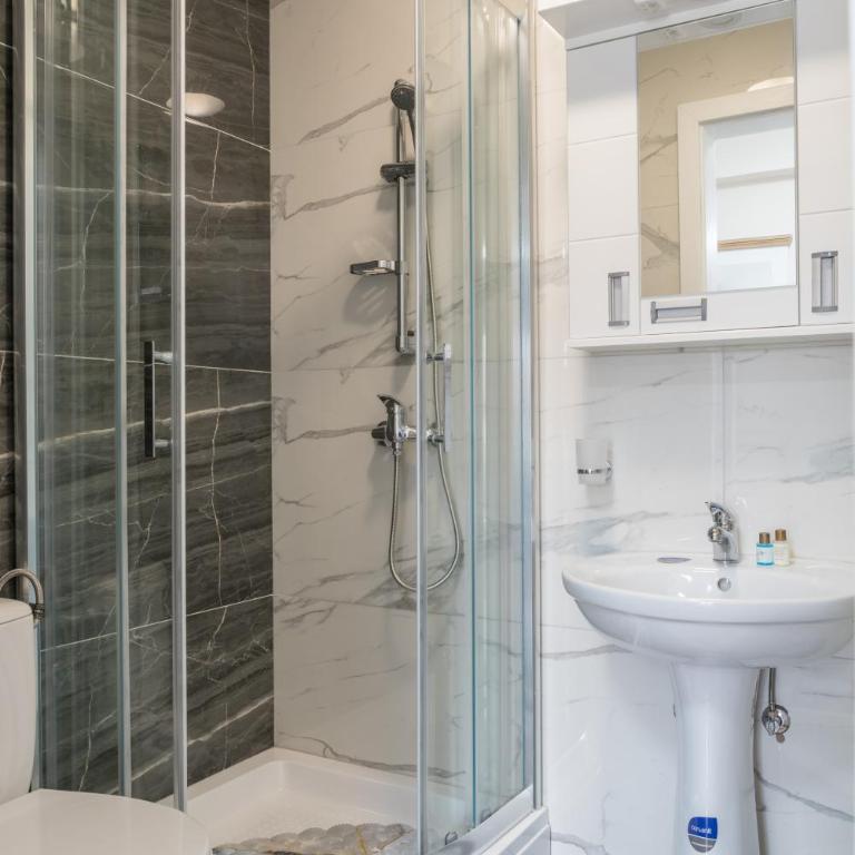 Lucky Lux 1 i 2 Vrnjačka Banja - Apartman sa 1 Spavaćom Sobom - 6