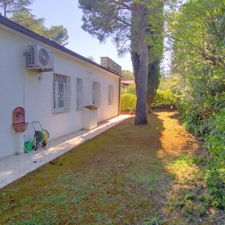 Villa Pentalocale con Piscina e spiaggia incluse Taunus Vacanze Villa Girasoli - Villa - 18