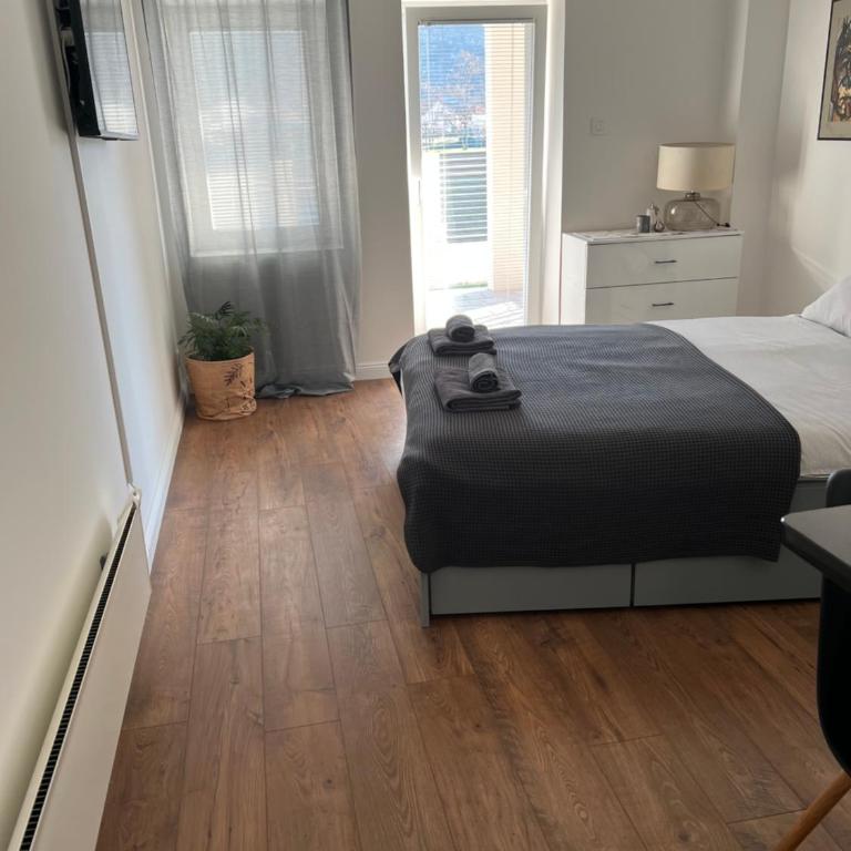 Vila Petra - Deluks Studio sa Bračnim Krevetom (King-size) - 10
