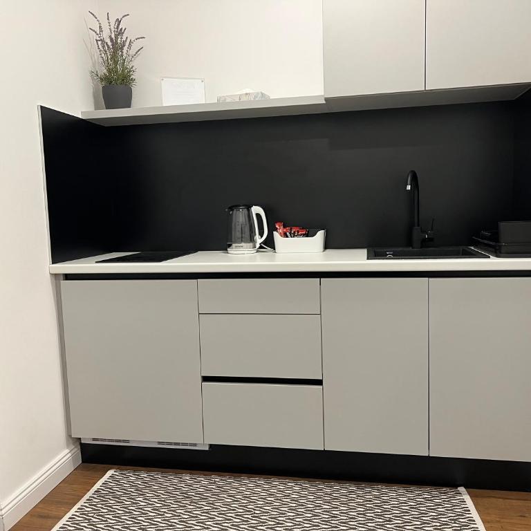 Vila Petra - Deluks Studio sa Bračnim Krevetom (King-size) - 11