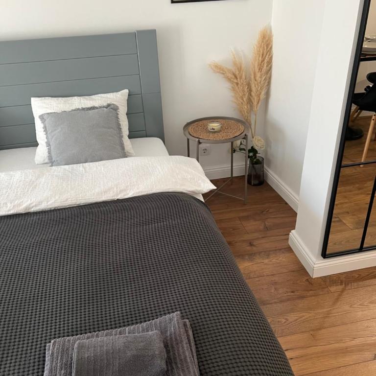 Vila Petra - Deluks Studio sa Bračnim Krevetom (King-size) - 10