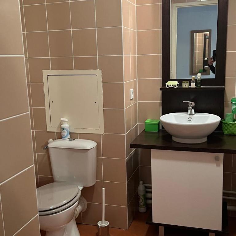Studio aux pieds des pistes, des chemins de Rando - Apartment mit 1 Schlafzimmer - 16