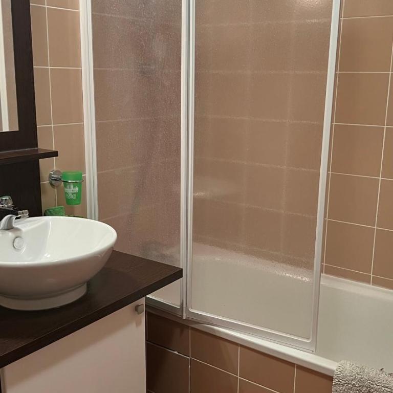 Studio aux pieds des pistes, des chemins de Rando - Apartment mit 1 Schlafzimmer - 17