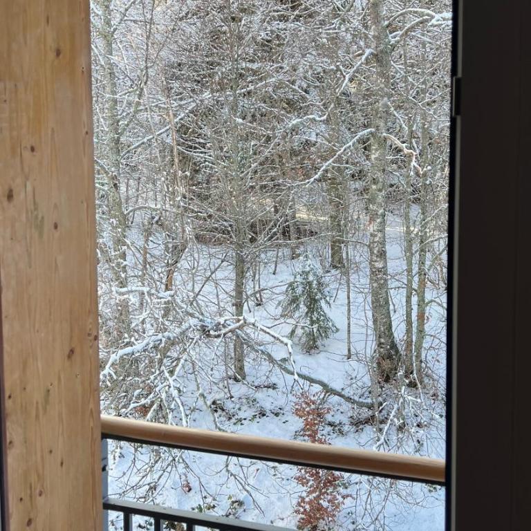 Studio aux pieds des pistes, des chemins de Rando - Apartment mit 1 Schlafzimmer - 24
