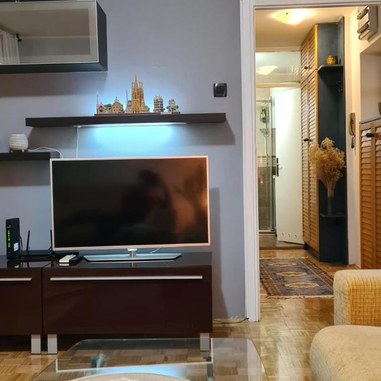 Grey apartment Novi Beograd - Apartman sa 1 Spavaćom Sobom - 7