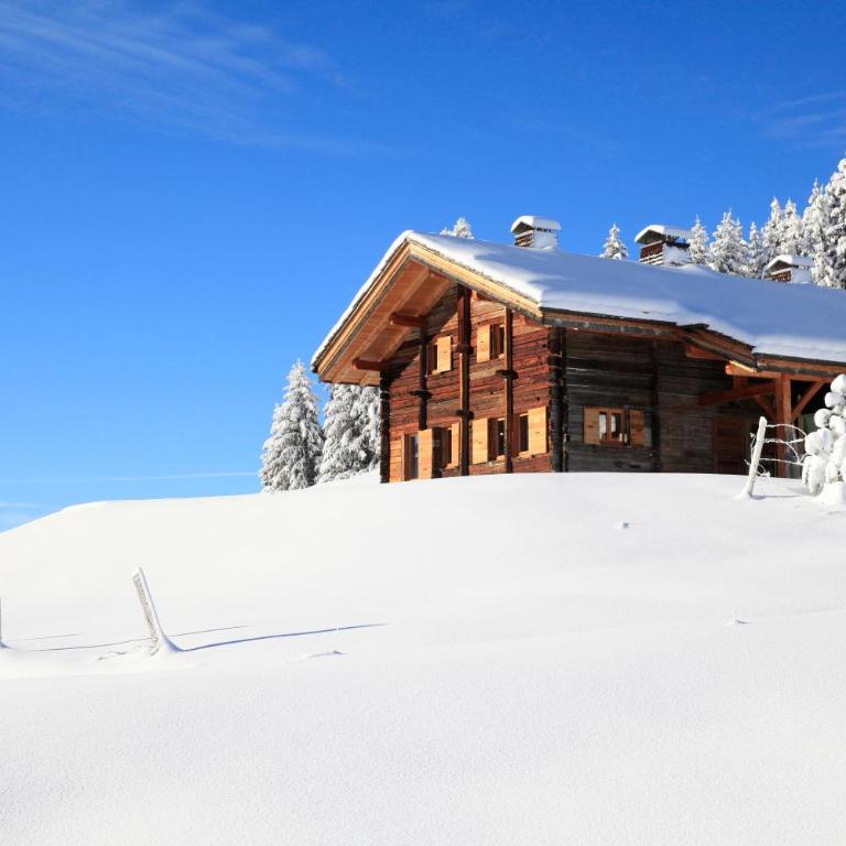 Chalet La Trafolée - Chalet - 34