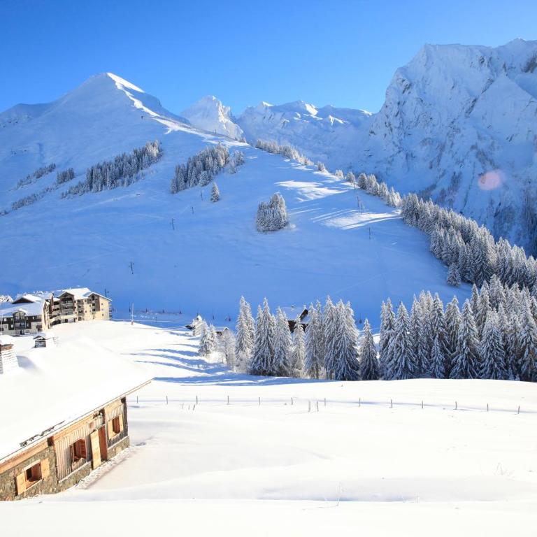 Chalet La Trafolée - Chalet - 35