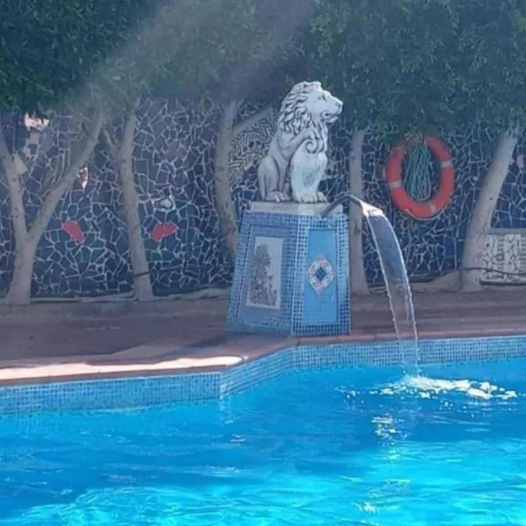 Surycan El Dorado 5th floor Apartment - One-Bedroom Apartment - 32