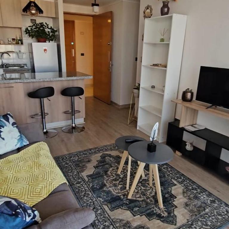 Depto Carvajal - One-Bedroom Apartment - 15