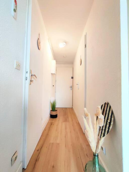 L'Escapade : Charmant T2 -Parking gratuit, piscine, wifi, clim - Appartement 1 Chambre - 16