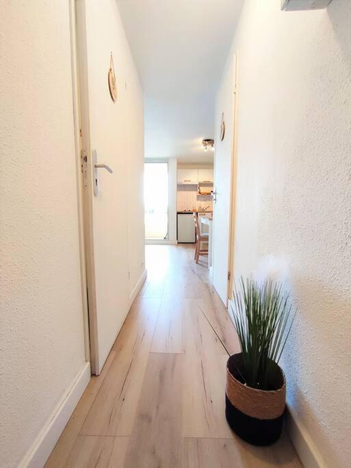 L'Escapade : Charmant T2 -Parking gratuit, piscine, wifi, clim - Appartement 1 Chambre - 17