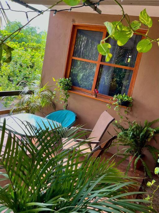 Casa Guiba 3 Puerto Escondido - Apartamento de 1 dormitorio - 13