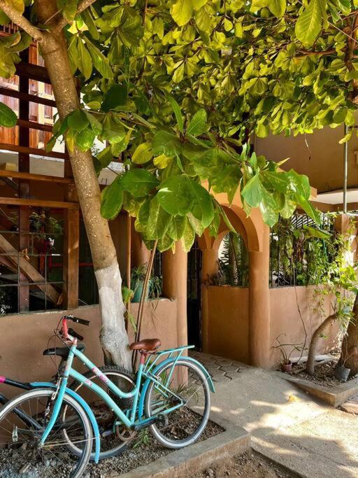 Casa Guiba 3 Puerto Escondido - Apartamento de 1 dormitorio - 20
