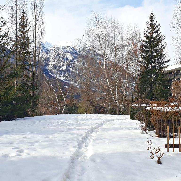 L’ALPIN AU PIED DES PISTES ET COMMERCES - Appartement 1 Chambre - 4