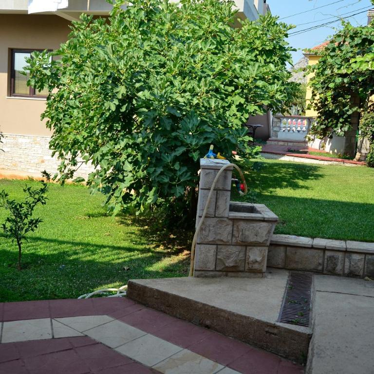 Apartments Leo - Studio Apartman sa Terasom - 12