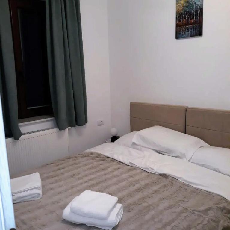 Vila Akva - Apartman sa 1 Spavaćom Sobom - 9