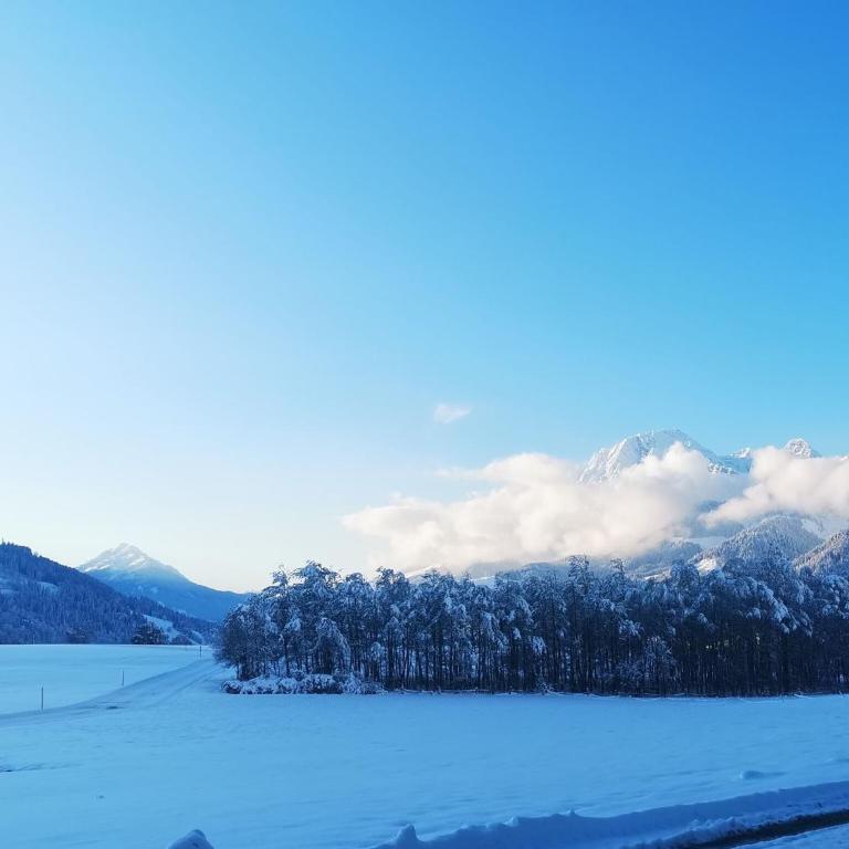 Holiday on an organic farm near ski slopes - Appartement 2 Chambres - 33