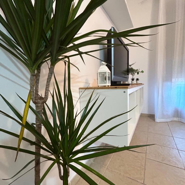 Rual Amanecer - Apartamento de 1 dormitorio - 1