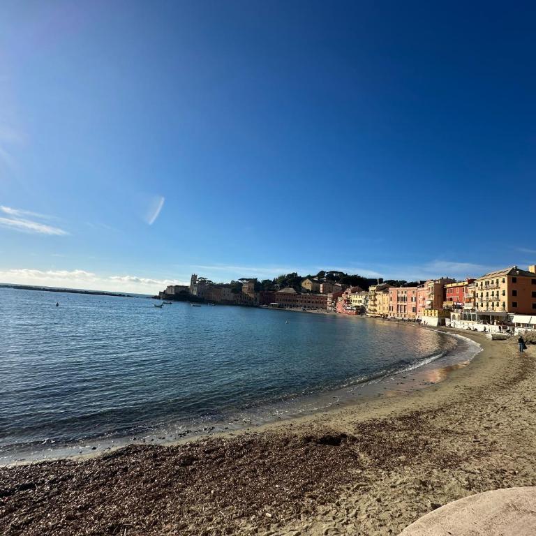 Monolocale La Conchiglia - Monolocale - 12