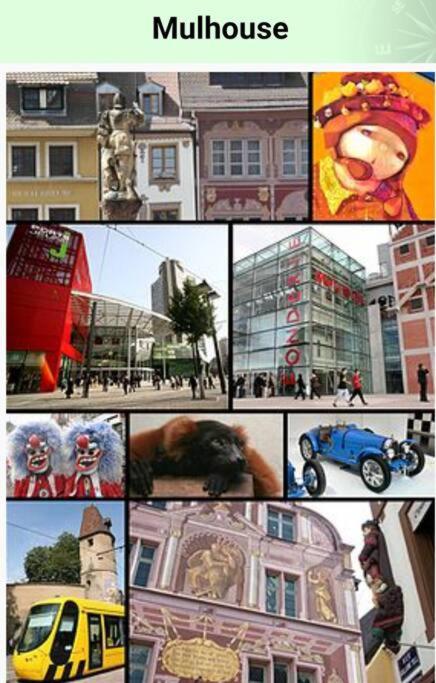 Appart cosy Musée Auto Parc Expo stationnement gratuit 4 Pers 1Ch - One-Bedroom Apartment - 30