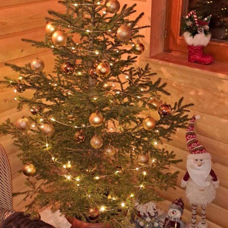 Planinska kuća - Three-Bedroom House - 8