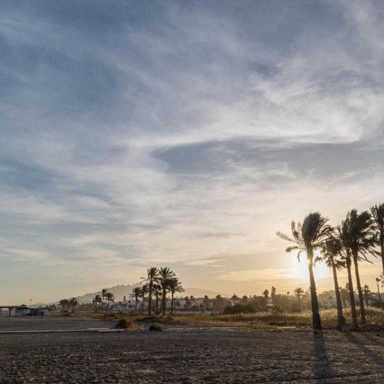 Bajo con terraza #Playa 8min #Chill out #Cuna - Apartamento con terraza - 23