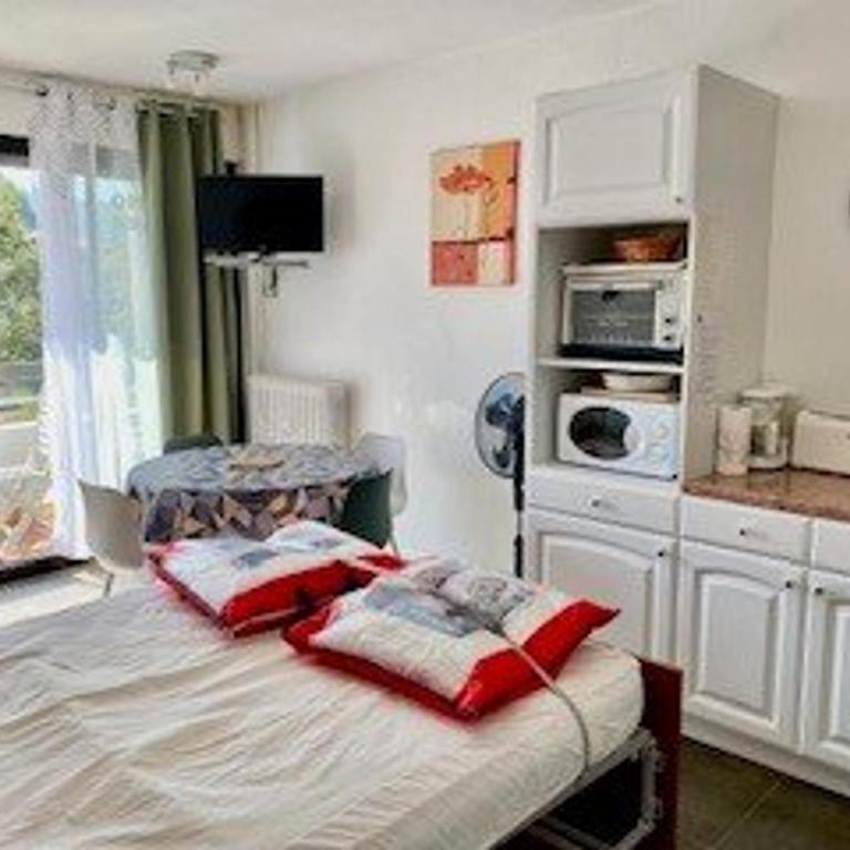 Studio cosy 24 m² avec balcon, proche cures et centre-ville, animaux bienvenus ! - Studio - 7