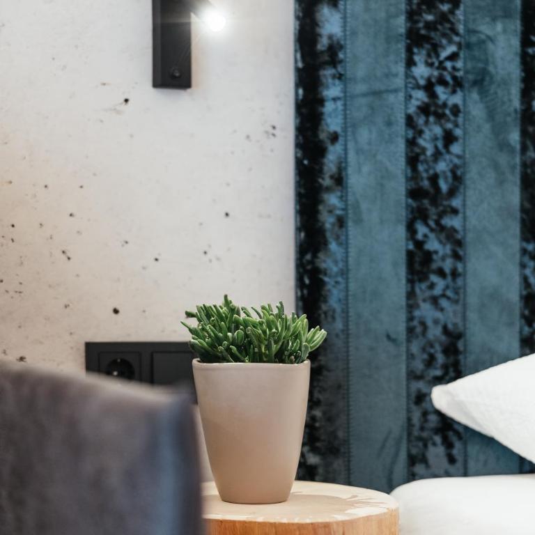 Residence Villa Trieste - Superior Studio - 3
