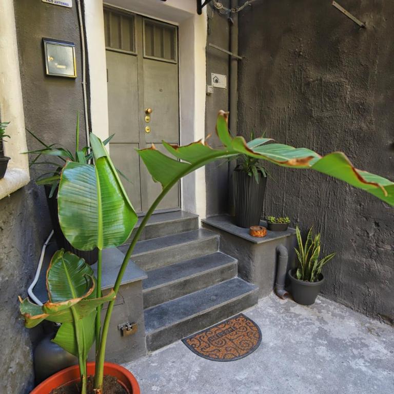 Vicolo 4 Apartment - Appartamento con 1 Camera da Letto - 19