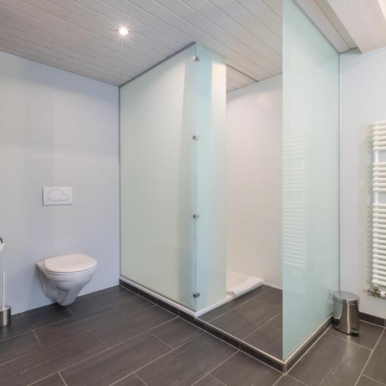 The Glacier Express Apartment - GRINDELHOMES - Appartement - 31
