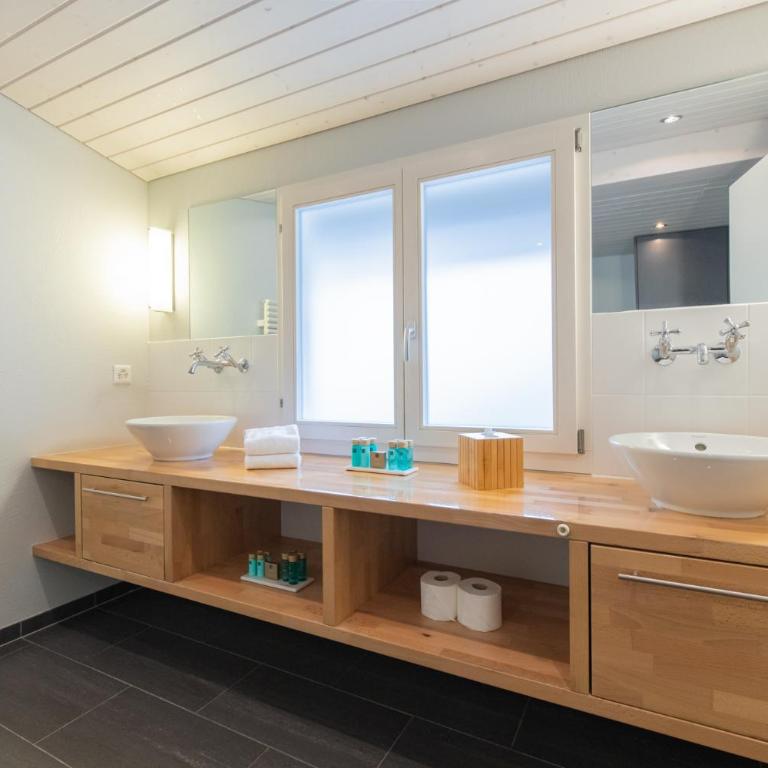 The Glacier Express Apartment - GRINDELHOMES - Appartement - 33