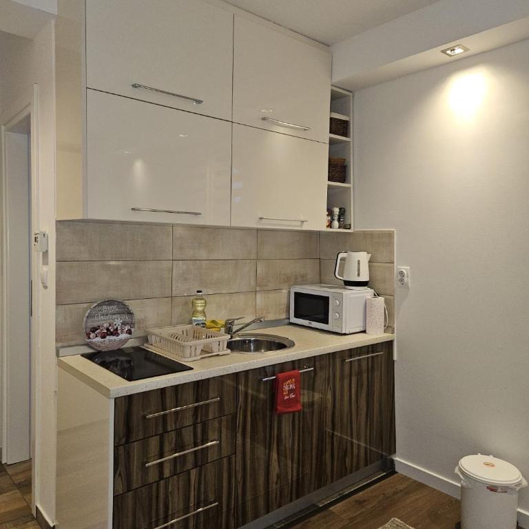 Apartman Andjela - One-Bedroom Apartment - 26